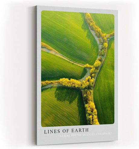 Paul Sinus Kunstdruck 40x60cm Lines of Earth mit Luftaufnahme von Feldern und gelben Baumlinien