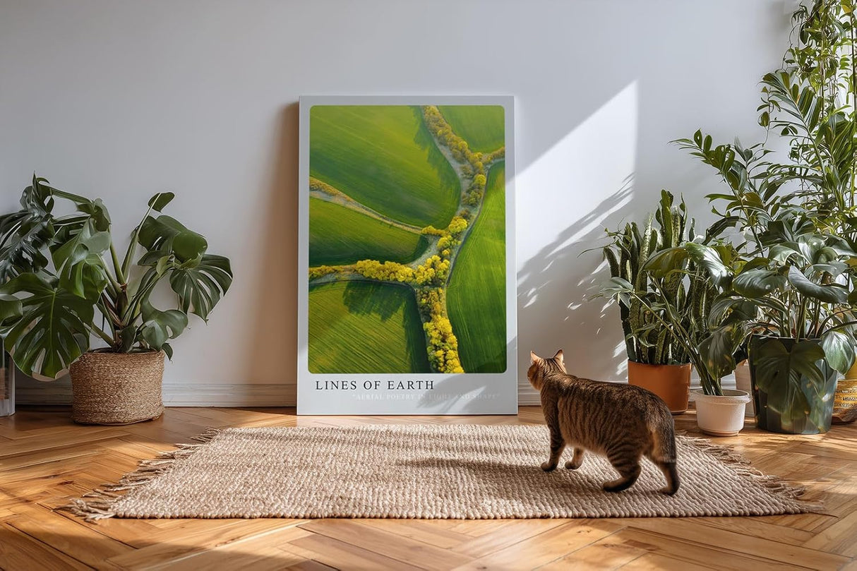 Paul Sinus Kunstdruck 40x60cm Lines of Earth mit Luftaufnahme von Feldern und gelben Baumlinien