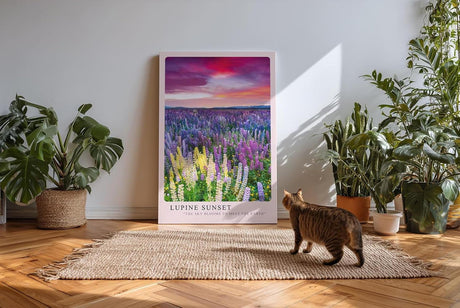Paul Sinus Kunstdruck 40x60cm Lupinen Sonnenuntergang Blumenwiese Farbenpracht Natur Lupine Sunset