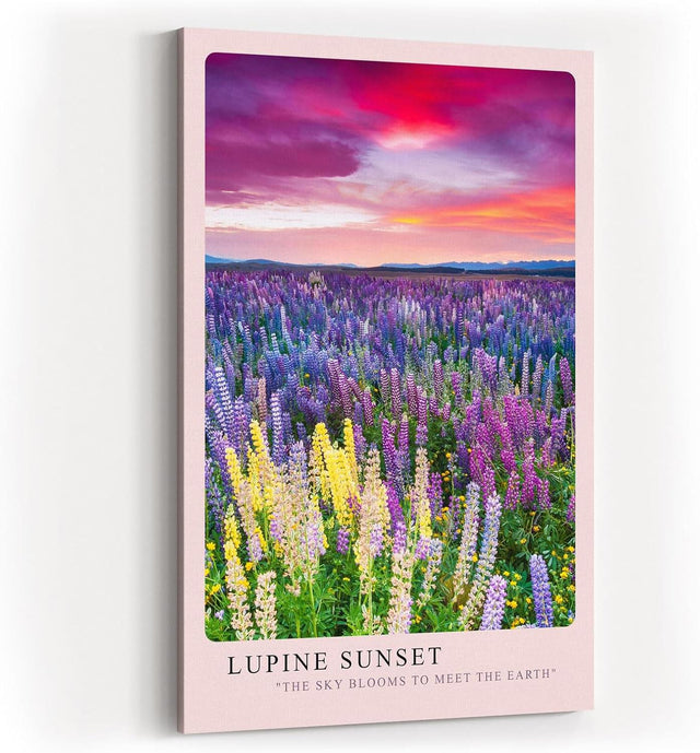 Paul Sinus Kunstdruck 40x60cm Lupinen Sonnenuntergang Blumenwiese Farbenpracht Natur Lupine Sunset