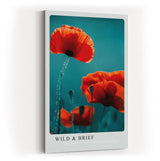 Paul Sinus Kunstdruck 40x60cm Mohnblumenfeld Natur Makro Leuchtkraft Blüte Poesie Wild and Brief