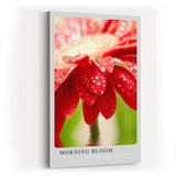 Paul Sinus Kunstdruck 40x60cm Morning Bloom – rote Blüte mit Tautropfen im Morgenlicht in Nahaufnahme