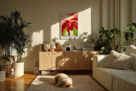 Paul Sinus Kunstdruck 40x60cm Morning Bloom – rote Blüte mit Tautropfen im Morgenlicht in Nahaufnahme