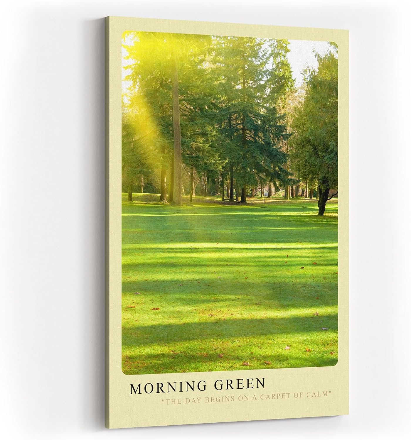 Paul Sinus Kunstdruck 40x60cm Morning Green – Sonnenstrahlen im Park auf frischem Rasen mit friedlicher Stimmung
