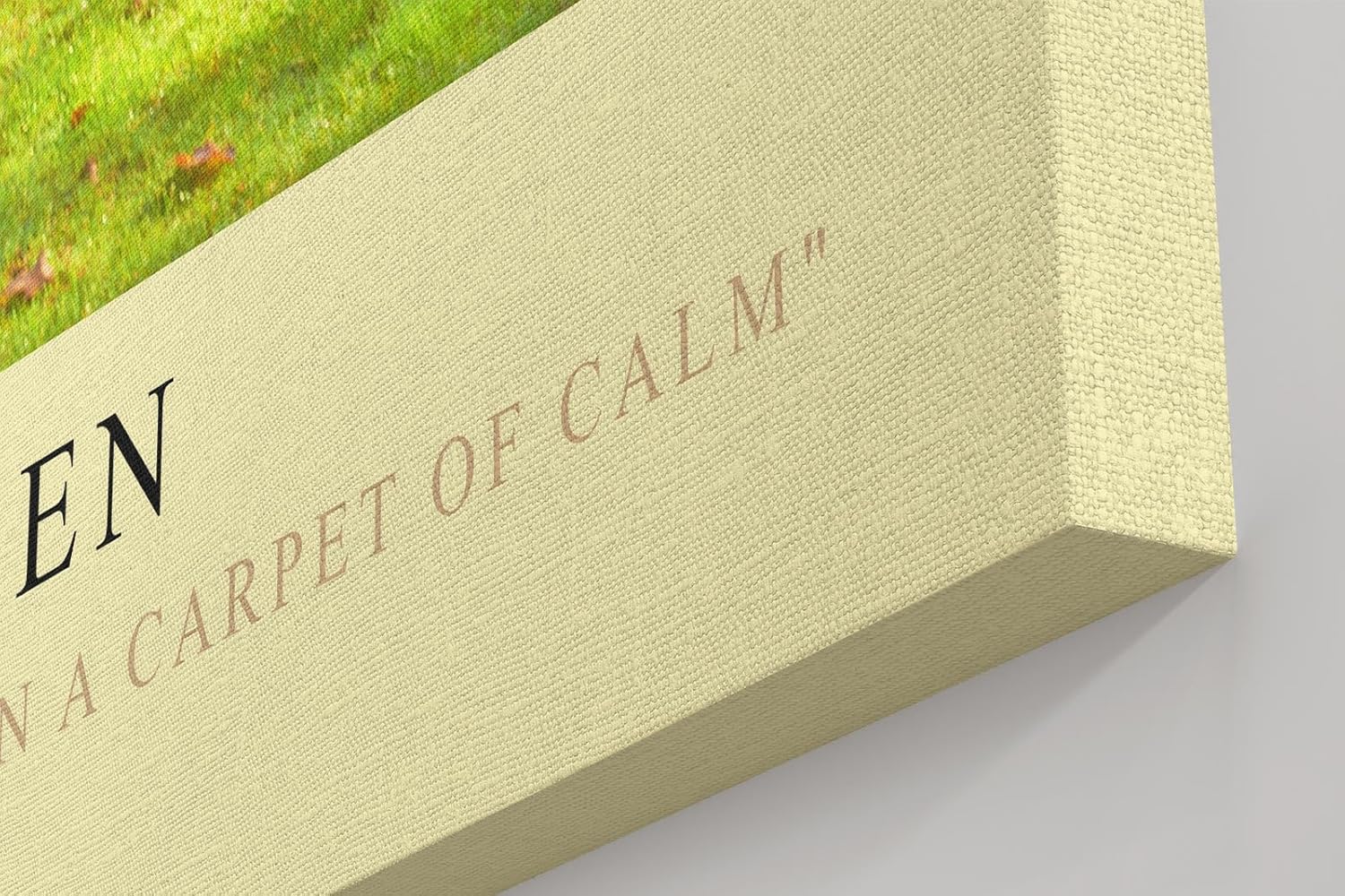 Paul Sinus Kunstdruck 40x60cm Morning Green – Sonnenstrahlen im Park auf frischem Rasen mit friedlicher Stimmung