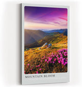 Paul Sinus Kunstdruck 40x60cm Mountain Bloom – blühende Bergwiese mit rosa Alpenrosen im Licht der Morgensonne