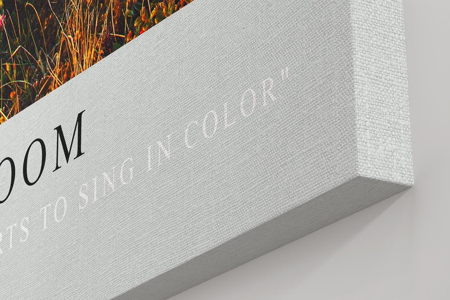 Paul Sinus Kunstdruck 40x60cm Mountain Bloom – blühende Bergwiese mit rosa Alpenrosen im Licht der Morgensonne