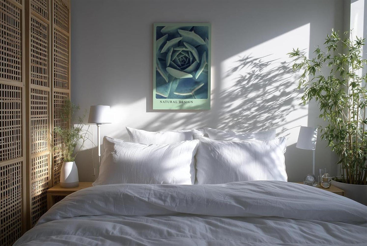 Paul Sinus Kunstdruck 40x60cm Natural Design – Sukkulente in spiralförmiger Anordnung und kühler Farbwelt