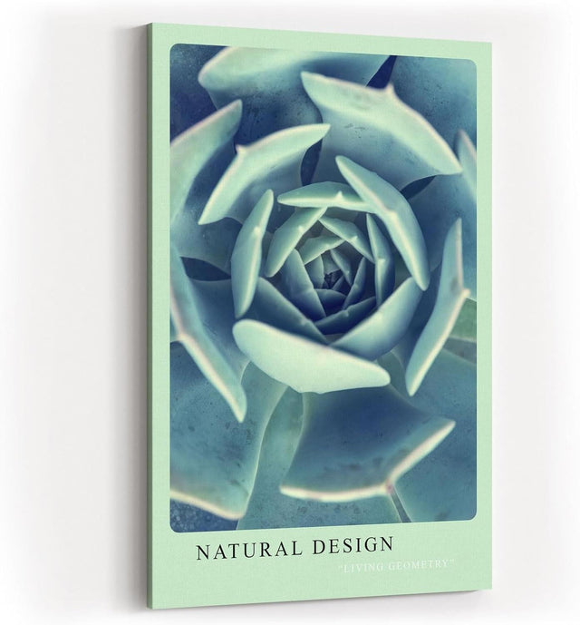 Paul Sinus Kunstdruck 40x60cm Natural Design – Sukkulente in spiralförmiger Anordnung und kühler Farbwelt