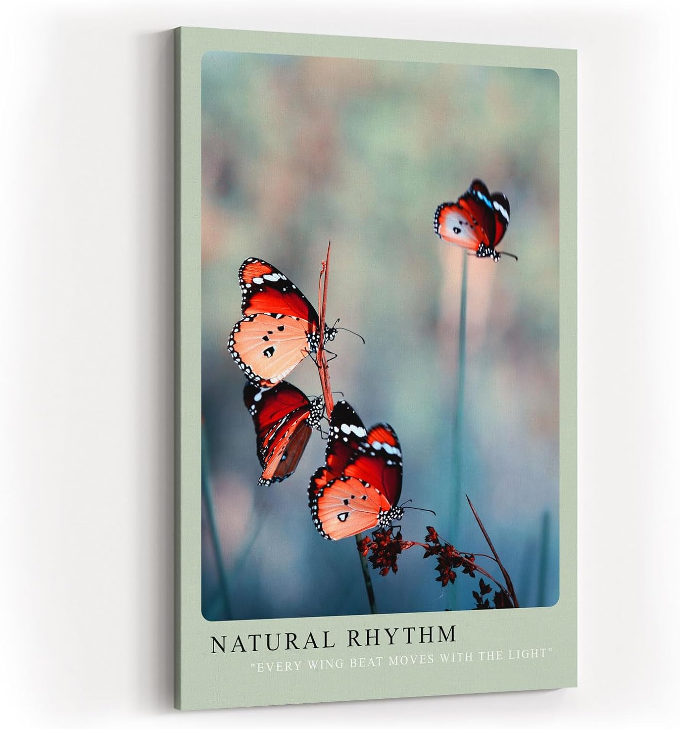 Paul Sinus Kunstdruck 40x60cm Natural Rhythm Schmetterlinge im Flug auf natürlichem Hintergrund