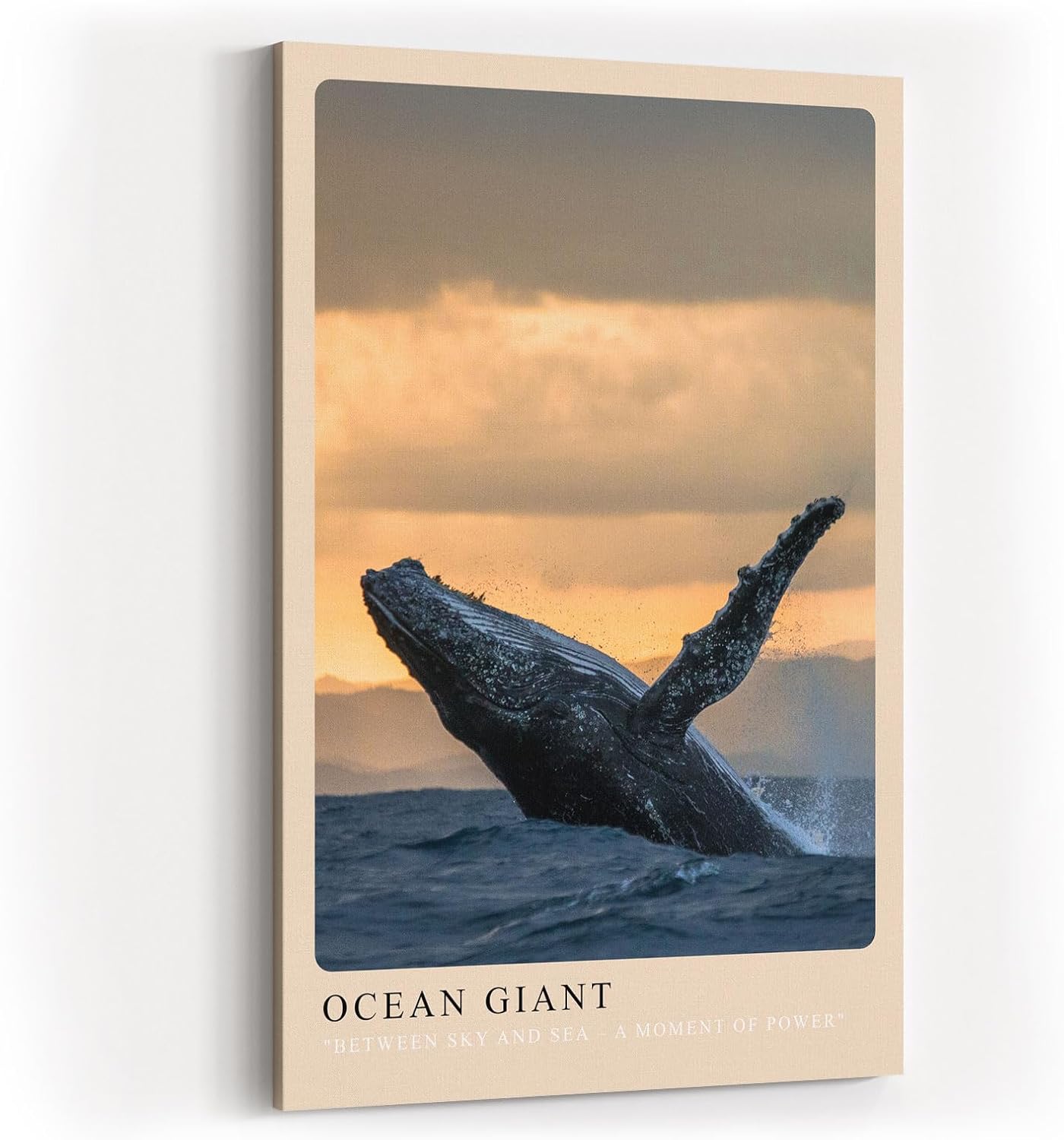 Paul Sinus Kunstdruck 40x60cm Ocean Giant Sprung eines Wals aus dem Wasser vor Sonnenuntergang