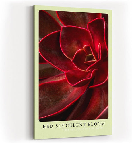 Paul Sinus Kunstdruck 40x60cm Red Succulent Bloom – Feuerrote Sukkulente in Nahaufnahme als modernes Kunstwerk