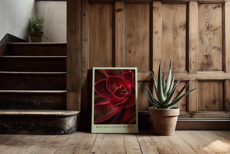 Paul Sinus Kunstdruck 40x60cm Red Succulent Bloom – Feuerrote Sukkulente in Nahaufnahme als modernes Kunstwerk