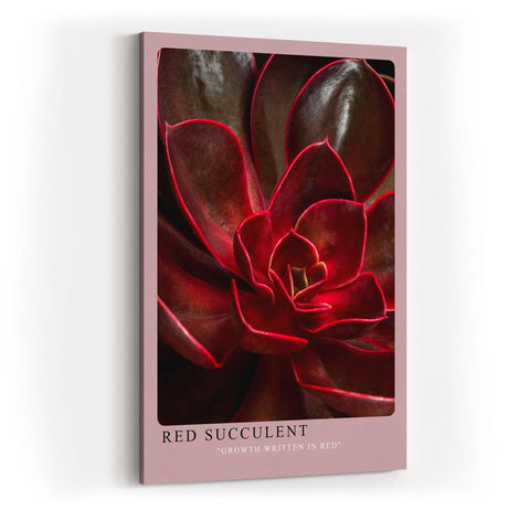 Paul Sinus Kunstdruck 40x60cm Red Succulent Makro Pflanze Dunkelrot Natur Sukkulente Struktur