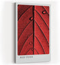Paul Sinus Kunstdruck 40x60cm Red Veins – Makroaufnahme eines roten Blattes mit strukturierten Adern und Wassertropfen
