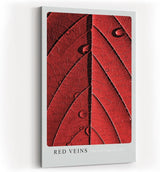 Paul Sinus Kunstdruck 40x60cm Red Veins – Makroaufnahme eines roten Blattes mit strukturierten Adern und Wassertropfen