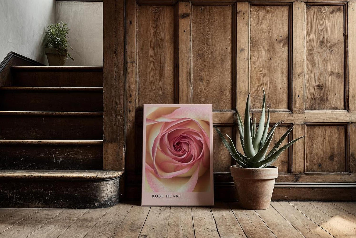 Paul Sinus Kunstdruck 40x60cm Rose Heart – Die Poesie der Rose in zartem Zentrum