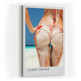 Paul Sinus Kunstdruck 40x60cm Sandy Cheeks Rückenansicht am Strand mit Sand auf Haut und Bikini