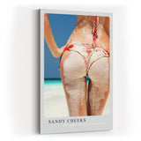 Paul Sinus Kunstdruck 40x60cm Sandy Cheeks Rückenansicht am Strand mit Sand auf Haut und Bikini