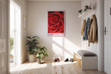 Paul Sinus Kunstdruck 40x60cm Scarlet Bloom – Rote Rosenblüte in Makroaufnahme mit eleganter Form und samtiger Textur