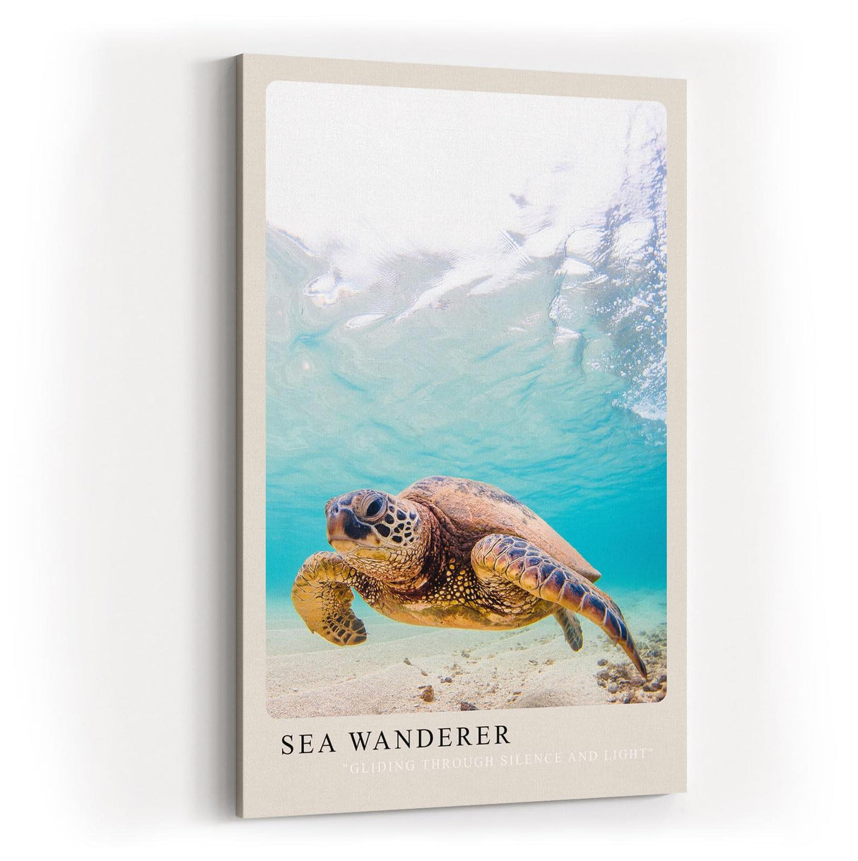 Paul Sinus Kunstdruck 40x60cm Sea Wanderer mit Meeresschildkröte unter Wasser in Türkis