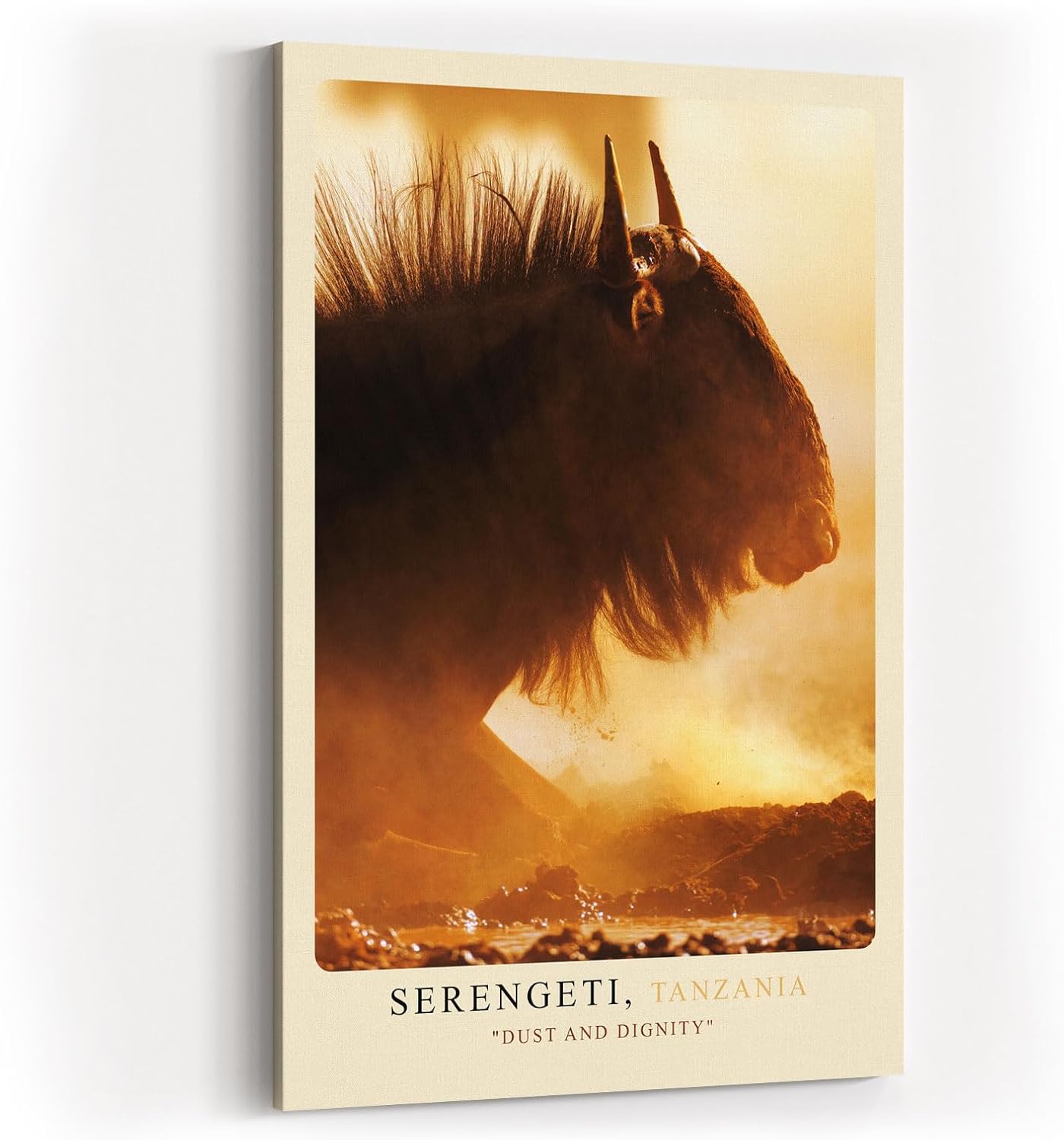 Paul Sinus Kunstdruck 40x60cm Serengeti Tansania Gnu im Staub bei Sonnenuntergang – Wildnis in Bewegung