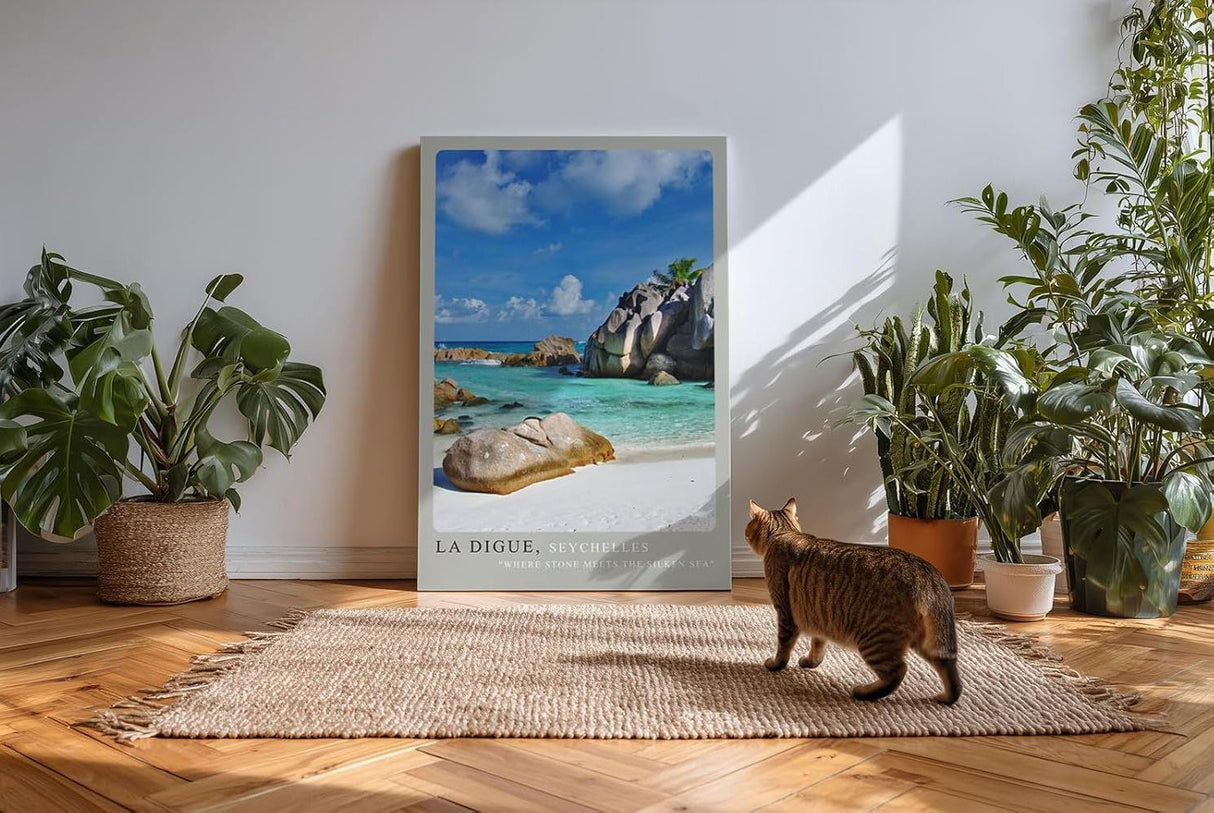 Paul Sinus Kunstdruck 40x60cm Seychellen Strand La Digue Felsen Meer Türkis Urlaub La Digue Seychelles