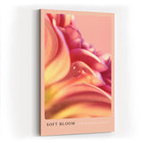 Paul Sinus Kunstdruck 40x60cm Soft Bloom – zarte Blütenblätter in Rosatönen mit Tautropfen in sanfter Nahaufnahme