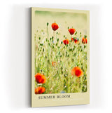 Paul Sinus Kunstdruck 40x60cm Sommer Mohnblumen Feld Blumenwiese Natur Licht Summer Bloom