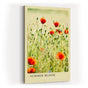 Paul Sinus Kunstdruck 40x60cm Sommer Mohnblumen Feld Blumenwiese Natur Licht Summer Bloom