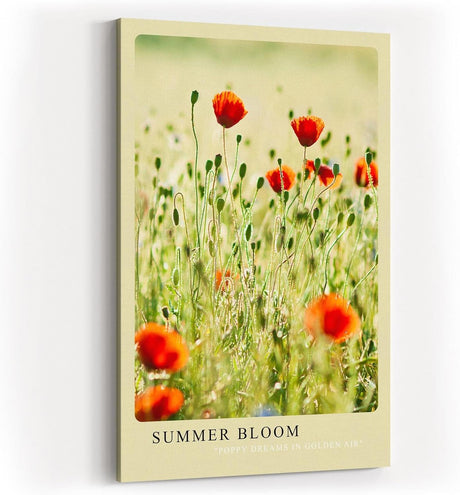 Paul Sinus Kunstdruck 40x60cm Sommer Mohnblumen Feld Blumenwiese Natur Licht Summer Bloom