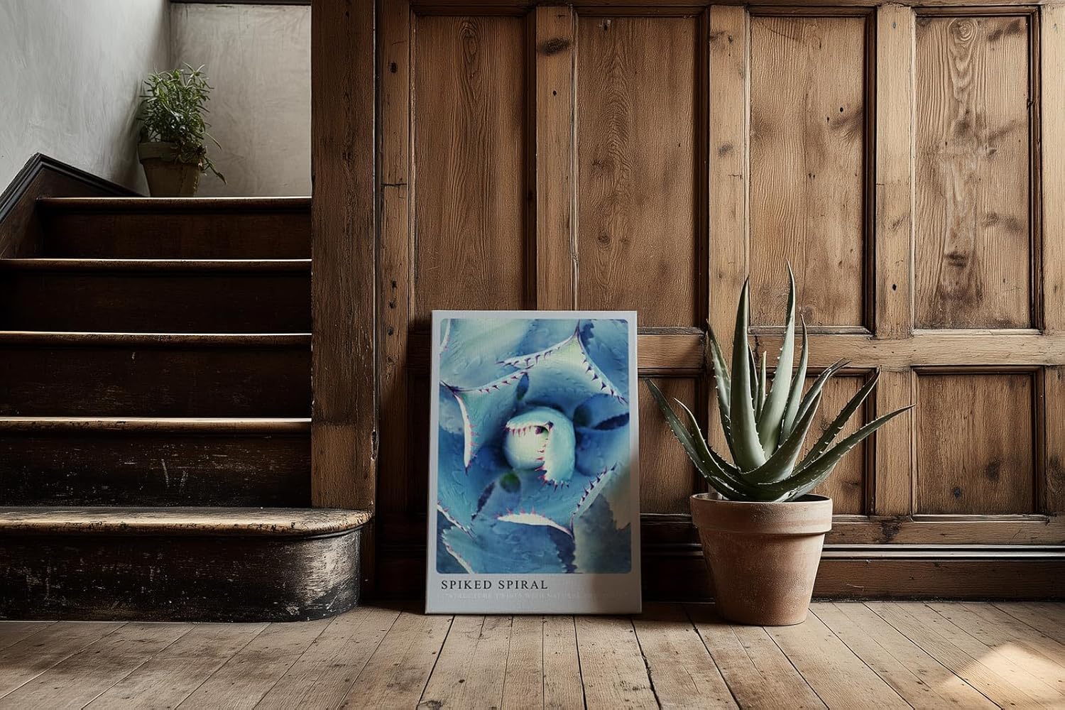 Paul Sinus Kunstdruck 40x60cm Spiked Spiral Blaue Sukkulente in spiraliger Struktur mit rötlichen Spitzen