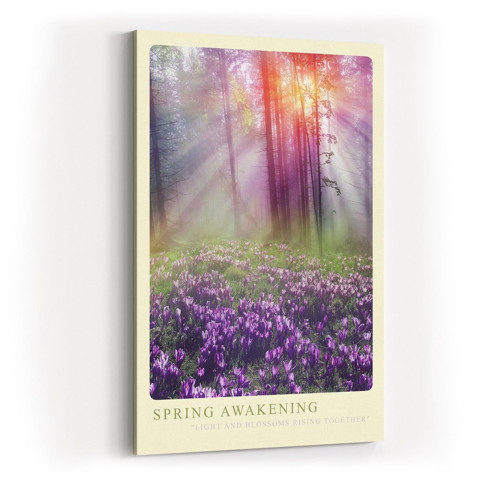 Paul Sinus Kunstdruck 40x60cm Spring Awakening Frühlingswald mit Sonnenlicht und violetten Krokussen