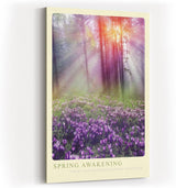 Paul Sinus Kunstdruck 40x60cm Spring Awakening Frühlingswald mit Sonnenlicht und violetten Krokussen