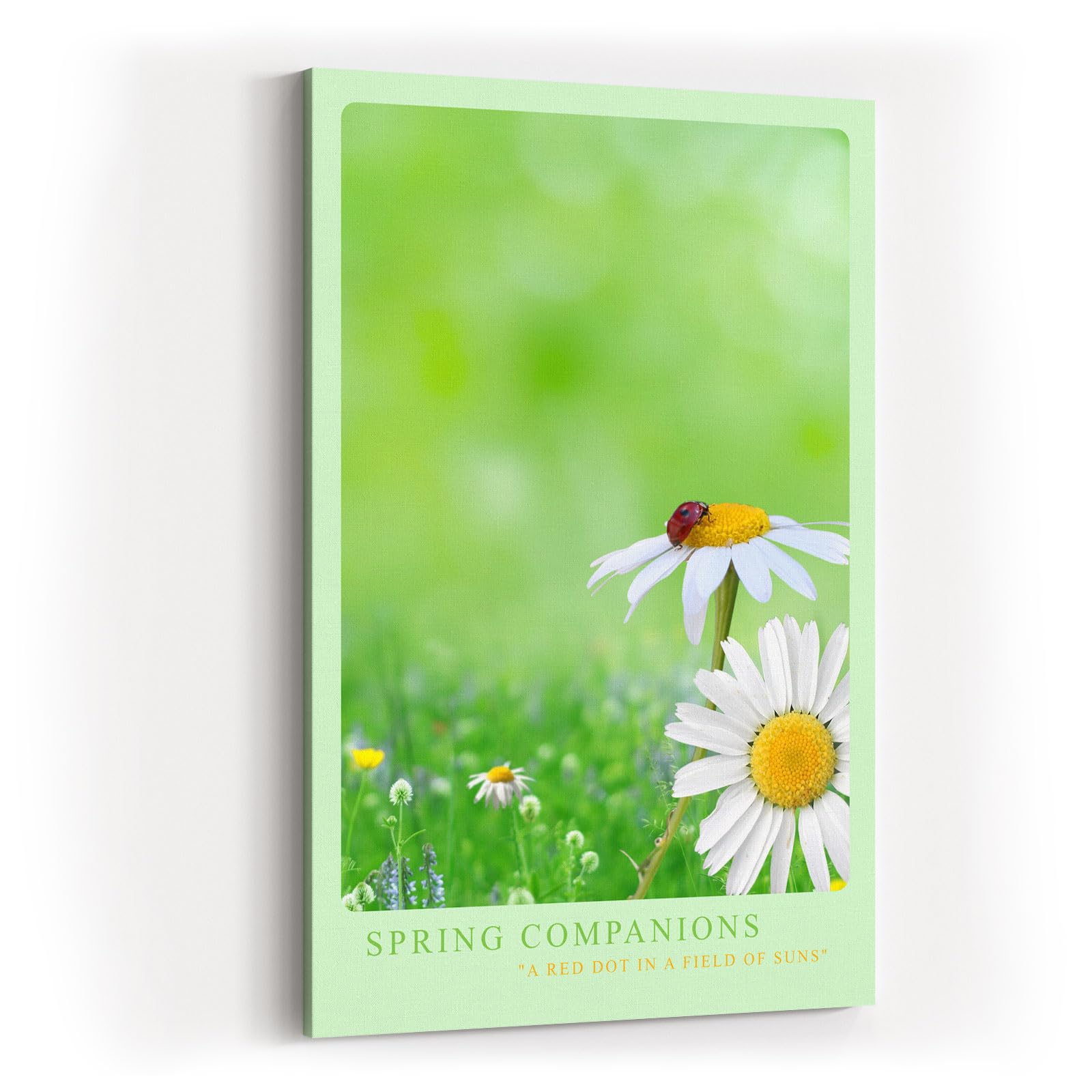 Paul Sinus Kunstdruck 40x60cm Spring Companions – Gänseblümchenwiese mit Marienkäfer in sanfter Frühlingsstimmung