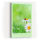 Paul Sinus Kunstdruck 40x60cm Spring Companions – Gänseblümchenwiese mit Marienkäfer in sanfter Frühlingsstimmung