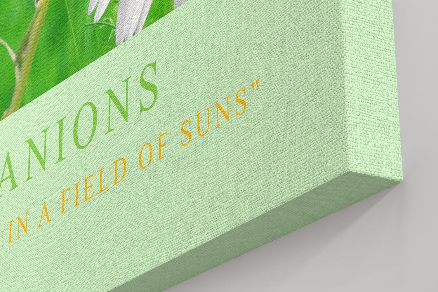 Paul Sinus Kunstdruck 40x60cm Spring Companions – Gänseblümchenwiese mit Marienkäfer in sanfter Frühlingsstimmung