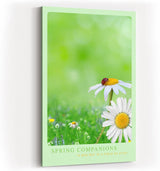 Paul Sinus Kunstdruck 40x60cm Spring Companions – Gänseblümchenwiese mit Marienkäfer in sanfter Frühlingsstimmung