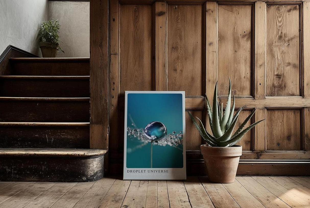 Paul Sinus Kunstdruck 40x60cm Tautropfen auf feiner Struktur – ein Universum im Mikrokosmos festgehalten