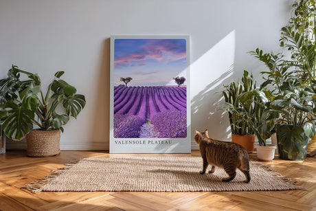 Paul Sinus Kunstdruck 40x60cm Valensole Plateau Lavendelfelder Provence Reihen Himmel Sommerfarben