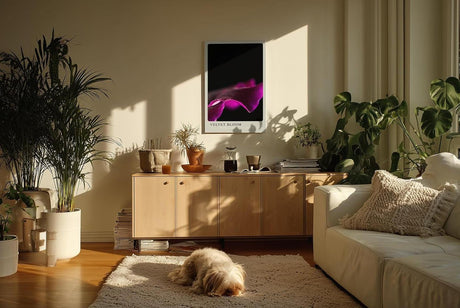 Paul Sinus Kunstdruck 40x60cm Velvet Bloom – samtige Blütenform in dunklem Violett auf Schwarz