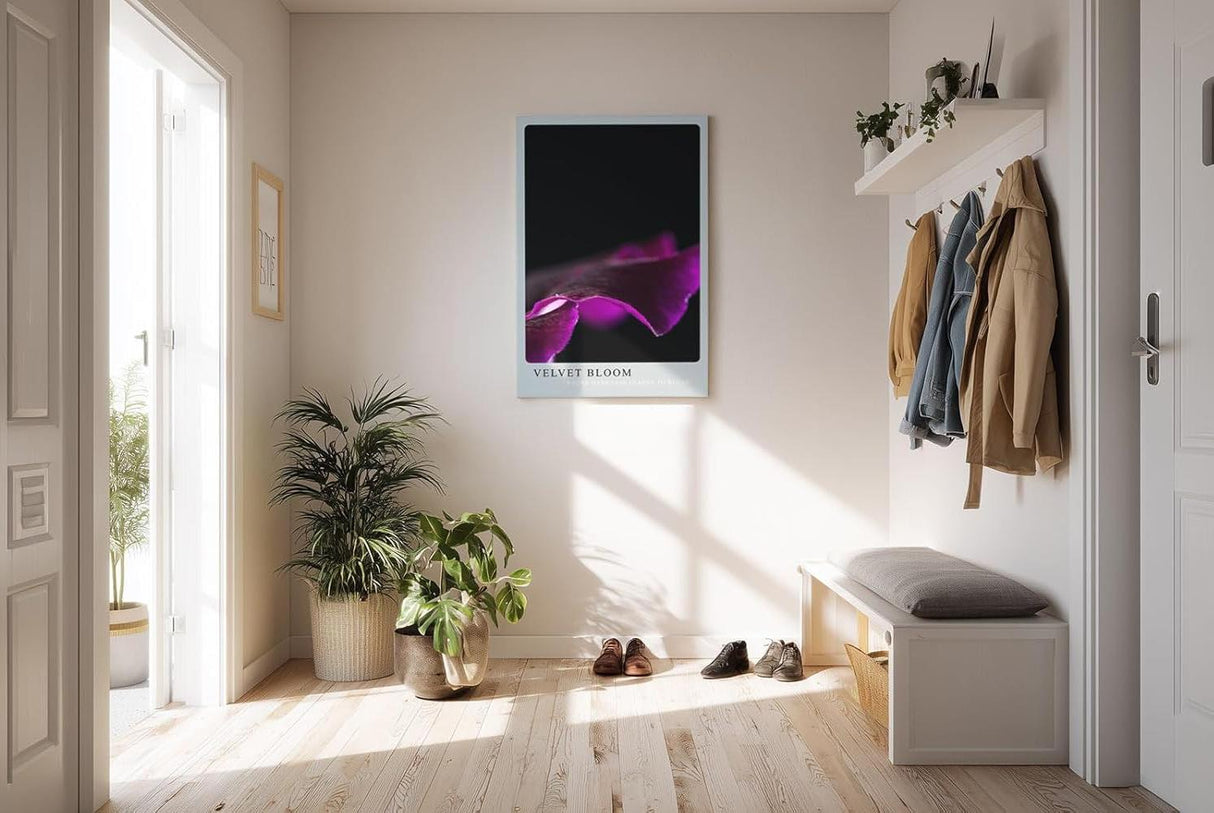 Paul Sinus Kunstdruck 40x60cm Velvet Bloom – samtige Blütenform in dunklem Violett auf Schwarz