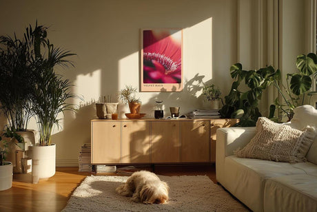 Paul Sinus Kunstdruck 40x60cm Velvet Halo – zartes Blütenmotiv in weichem Licht und samtiger Atmosphäre