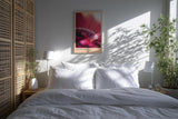 Paul Sinus Kunstdruck 40x60cm Velvet Halo – zartes Blütenmotiv in weichem Licht und samtiger Atmosphäre