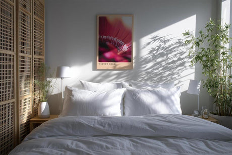 Paul Sinus Kunstdruck 40x60cm Velvet Halo – zartes Blütenmotiv in weichem Licht und samtiger Atmosphäre
