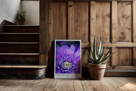 Paul Sinus Kunstdruck 40x60cm Violette Blüte in Nahaufnahme – florales Farbspiel in Lila und Weiß
