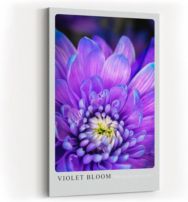 Paul Sinus Kunstdruck 40x60cm Violette Blüte in Nahaufnahme – florales Farbspiel in Lila und Weiß