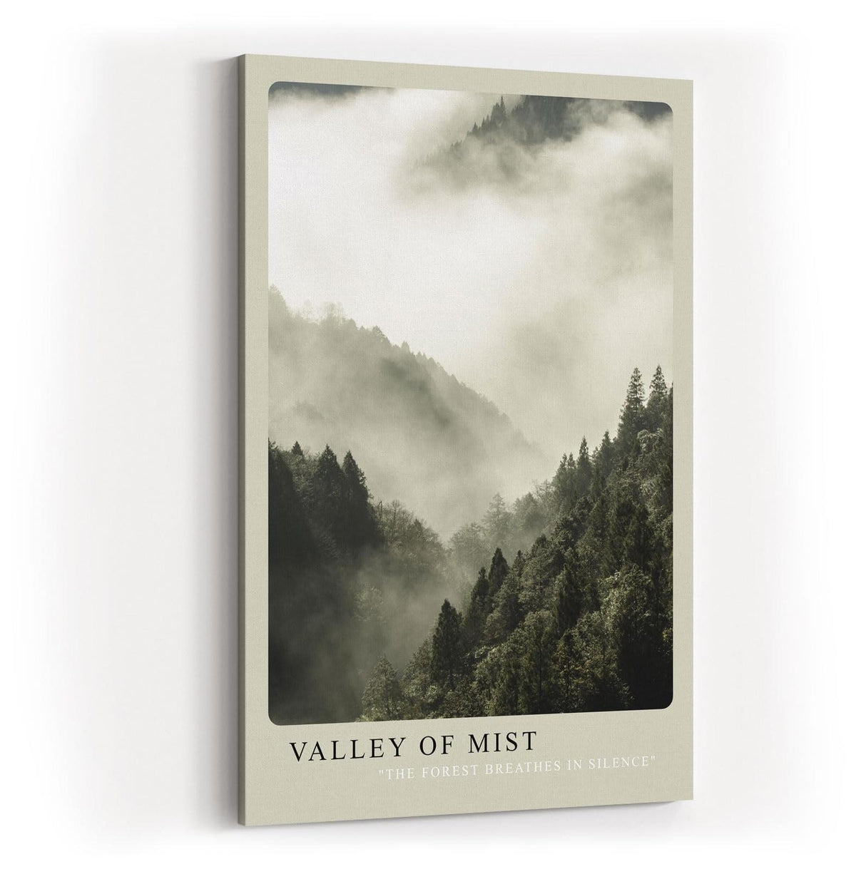 Paul Sinus Kunstdruck 40x60cm Wald Nebel Berge Stille Natur Fotografie Valley of Mist