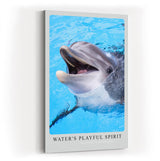 Paul Sinus Kunstdruck 40x60cm Water's Playful Spirit – Fröhlicher Delfin im klaren Wasser in lebendiger Nahaufnahme
