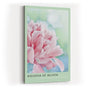 Paul Sinus Kunstdruck 40x60cm Whisper of Bloom – zarte Pfingstrose im Morgentau